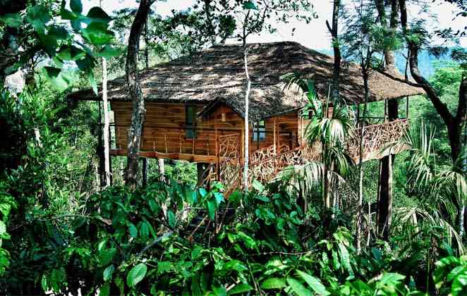 Stay for Some Days in a Tree House Resort in Athirapally