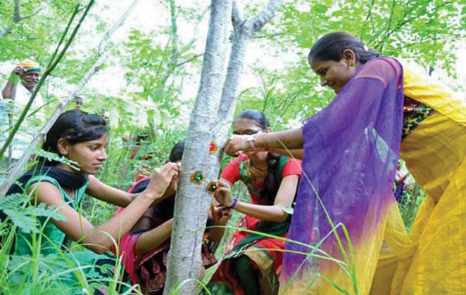 Village Plants 111 Trees for Every Girl Child Born-4