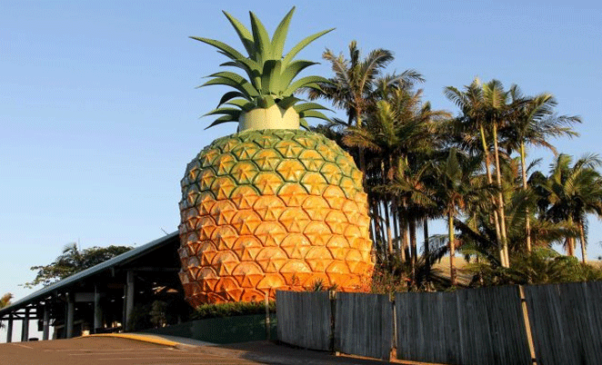 The Big Pineapple 