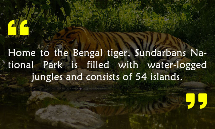 Sundarbans National Park 