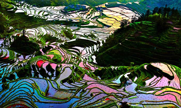 Yuanyang Terraces, Yunnan Province, China