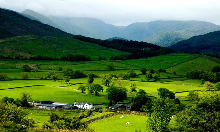 October- greenery of Ziro Valley